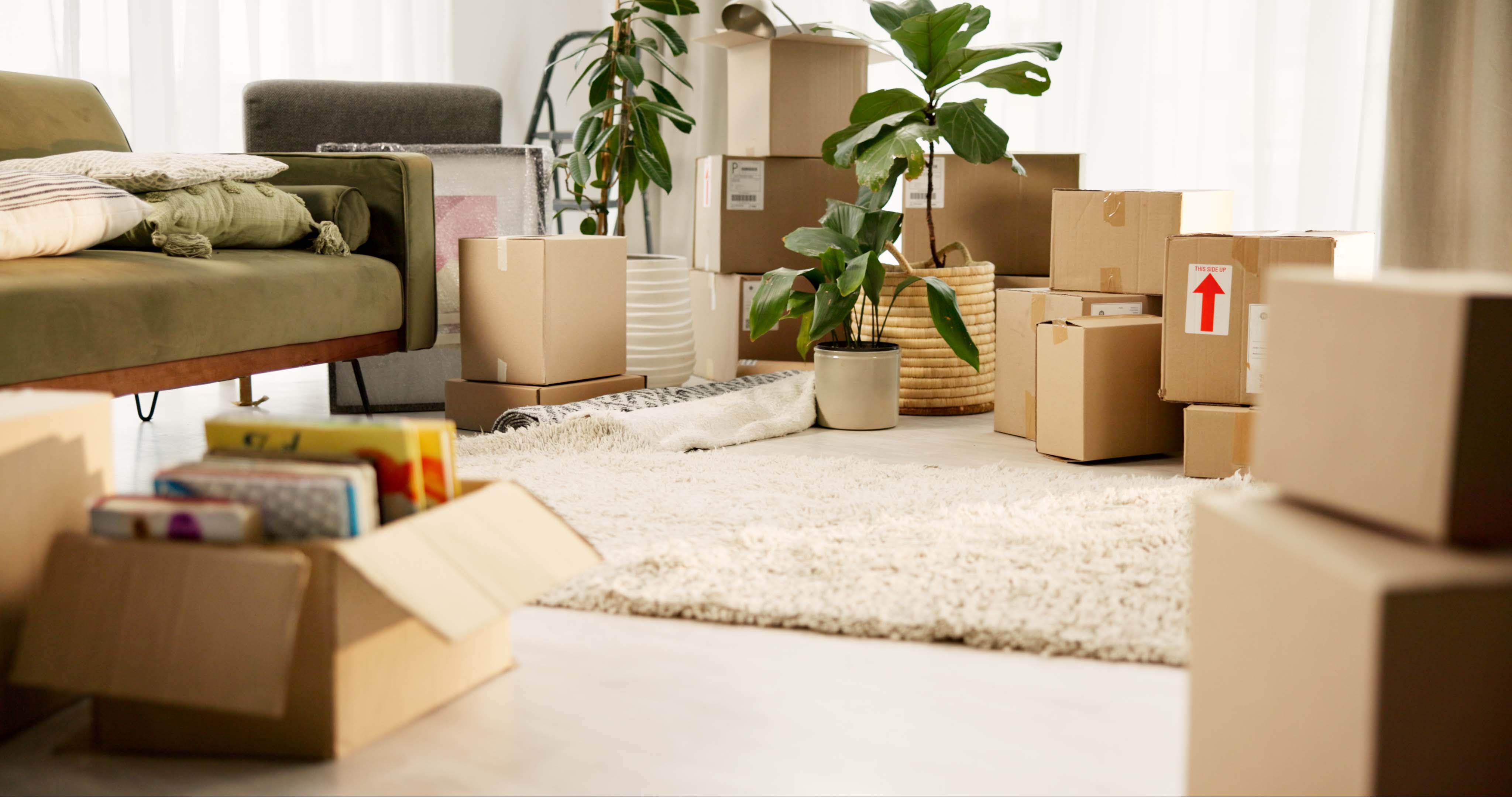 Living-room-filled-with-sofboxes-and-plants